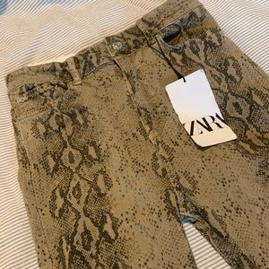 ZARA High Waist Skinny Pants